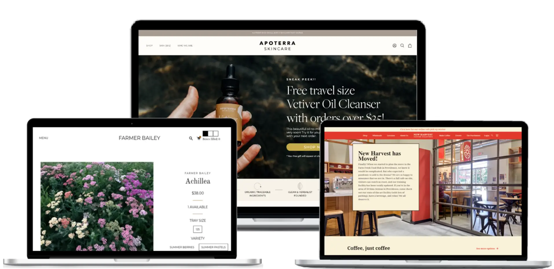 Shopify stores displayed on multiple devices